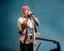 Blink 182, Bad Religion und NoFX,  | © laut.de (Fotograf: Désirée Pezzetta)