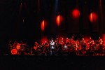 Die Ärzte, Queen und Co, | © laut.de (Fotograf: Rainer Keuenhof)