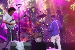 Die Australier performten drei Stunden lang live., Hamburg, Stadtpark Freilichtbühne, 2024 | © laut.de (Fotograf: Rinko Heidrich)