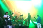 Die Australier performten drei Stunden lang live., Hamburg, Stadtpark Freilichtbühne, 2024 | © laut.de (Fotograf: Rinko Heidrich)