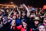 Rock am Ring läuft: Die Ärzte, Queens Of The Stone Age, Green Day, Kerry King u.v.a. schlagen auf., Rock am Ring, 2024 | © laut.de (Fotograf: Rainer Keuenhof)