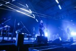 Josh Homme und Gang in Europa., Hamburg, Sporthalle, 2024 | © laut.de (Fotograf: Björn Buddenbohm)