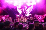 Die Spiele mögen beginnen: Ed Sheeran, K.I.Z, Avril Lavigne, The Hives u.v.m., Hurricane, 2024 | © laut.de (Fotograf: Björn Buddenbohm)