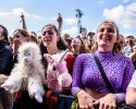 Am Festivalsonntag kommt die Sonne raus: Sido, K.I.Z, Avril Lavigne, Turnstile, Jungle etc., Southside, 2024 | © laut.de (Fotograf: Désirée Pezzetta)