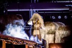 Das Roskilde Festival läuft: Nach den Newcomer:innen-Tagen startet am Mittwoch das Hauptprogramm., Roskilde, 2024 | © laut.de (Fotograf: Manuel Berger)