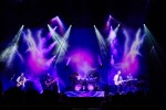 Pink Floyd, Roger Waters und Co, | © laut.de (Fotograf: Rainer Keuenhof)