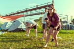 Es ist angerichtet bei perfektem, wenn auch glühend heißem Festivalwetter!, Southside, 2025 | © laut.de (Fotograf: Désirée Pezzetta)