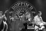 Viel Spielfreude und Energie: die R'n'R/Rockabilly-Institution aus Aschaffenburg., Kaiserslautern, Irish House, 2026 | © laut.de (Fotograf: Christoph Cordas)