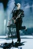 The Dandy Warhols, Black Rebel Motorcycle Club und Franz Ferdinand, | © laut.de (Fotograf: Désirée Pezzetta)