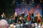 Das Berliner Kollektiv war das Highlight bei der 25. Ausgabe des Festivals., Fürth, New Orleans Festival, 2026 | © laut.de (Fotograf: Désirée Pezzetta)