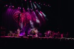 Supergroup at work: die Ex-King Crimson-Mitglieder Adrian Belew und Tony Levin bringen in Koop mit Gitarrengott Steve Vai und Tool-Drummer Danny Carey., Berlin, Uber Eats Music Hall, 2026 | © laut.de (Fotograf: Rainer Keuenhof)