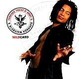 Terence Trent D'Arby - Sananda Maitreya's Wildcard