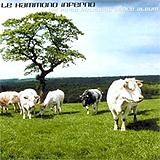 Le Hammond Inferno - My First Political Dance Album