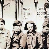Vivid - Auto All