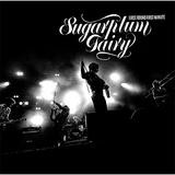 Sugarplum Fairy - First Round First Minute