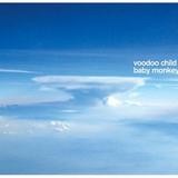 Voodoo Child - Baby Monkey