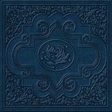 Ryan Adams - Cold Roses