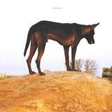 Fenin - Grounded