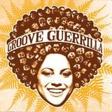 Groove Guerrilla - One Man Show