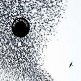 Wilco - Sky Blue Sky