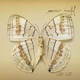 Xavier Rudd - White Moth