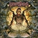 Fleshcrawl - Structures Of Death