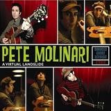 Pete Molinari - A Virtual Landslide