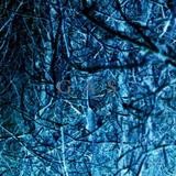 Wolfgang Voigt - Nah und Fern