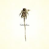 Patrick Watson And The Wooden Arms - Wooden Arms