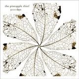 The Pineapple Thief - 3000 Days