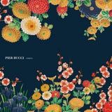 Pier Bucci - Amigo