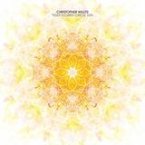 Christopher Willits - Tiger Flower Circle Sun