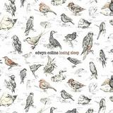 Edwyn Collins - Losing Sleep