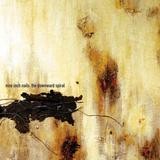 Nine Inch Nails - The Downward Spiral