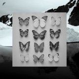 Christian Löffler - Young Alaska