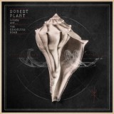 Robert Plant - Lullaby And ... The Ceaseless Roar