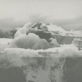If These Trees Could Talk - The Bones Of A Dying World