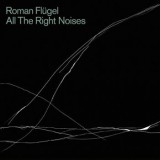 Roman Flügel - All The Right Noises