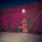 Feist - Pleasure