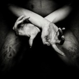 Shining (S) - X - Varg Utan Flock