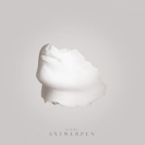 Surma - Antwerpen
