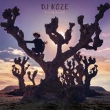 DJ Koze - Knock Knock