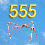 Noah Levi - 555