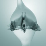 Unprocessed - Angel