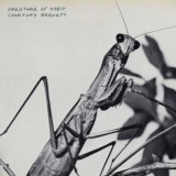 Courtney Barnett - Creature of Habit