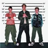 Busted - Busted