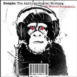Meshell Ndegeocello - Cookie: The Anthropological Mixtape