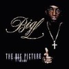 Big L - The Big Picture: Album-Cover