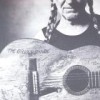 Willie Nelson - The Great Divide