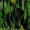 The Promise Ring - Wood/Water: Album-Cover
